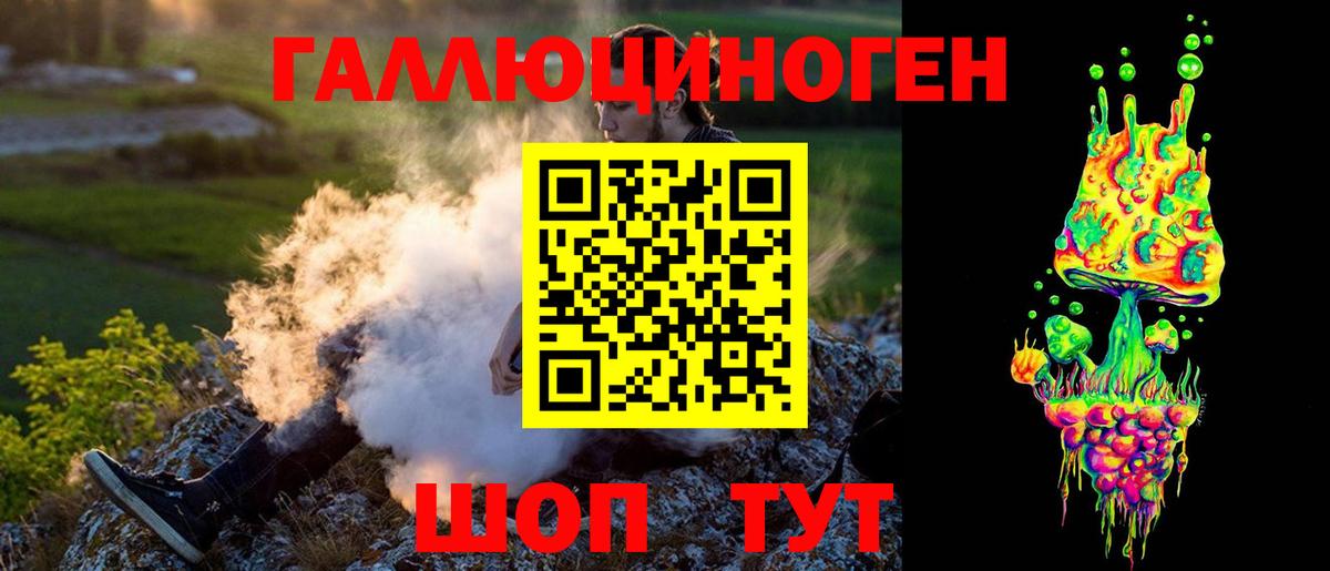 Галлюциногенные грибы Psilocybine cubensis Новосибирск